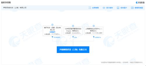 锤子科技再陷服务合同纠纷，百元执行背后的企业困境与警示