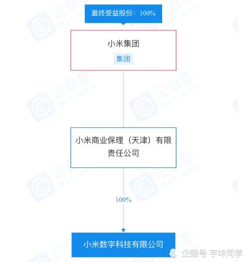 小米数字科技经营异常引关注，旗下小米支付及信息系统运行维护服务将受何影响？